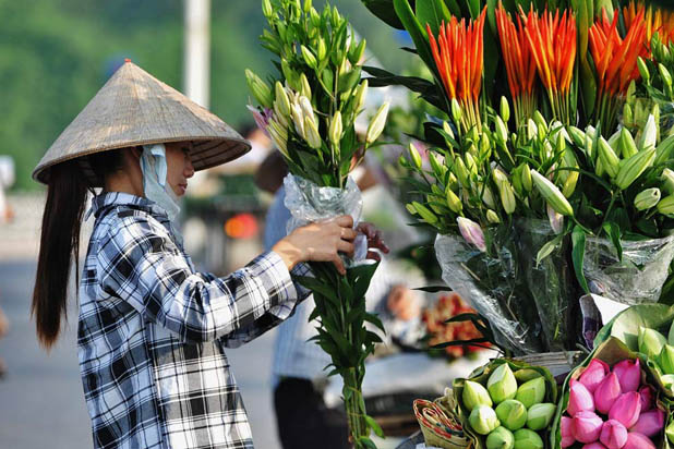 Asian Market Ventura 62